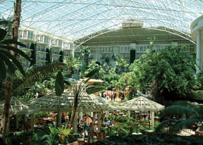 Tropical plants trhive indoors at Opryland