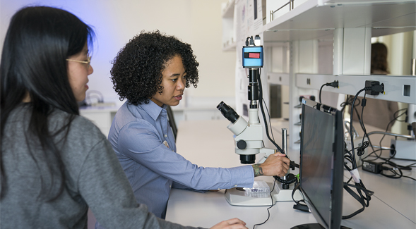 Researchers in San Diego State’s Engineering and Interdisciplinary Sciences Complex . (Photo courtesy of SDSU)