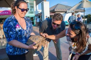 Attendees will get an opportunity to meet some of the center’s endangered animals. (Photo from previous event courtesy of Living Coast Discovery Center)